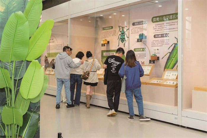 常博科普展 拨动昆虫色彩的 “交响